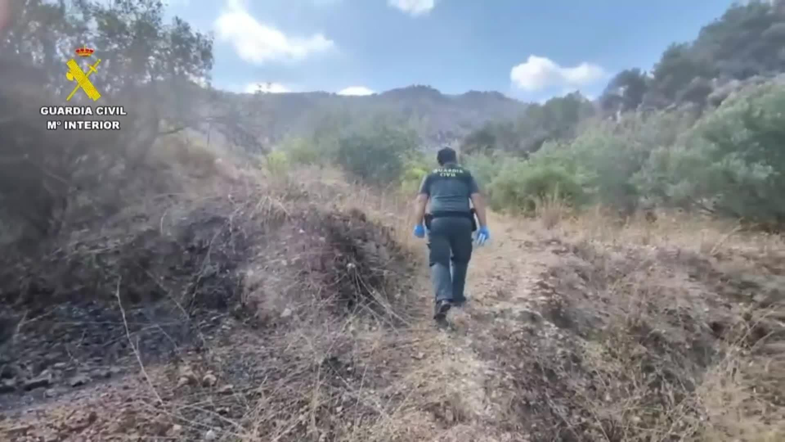 web incendio dia murcia