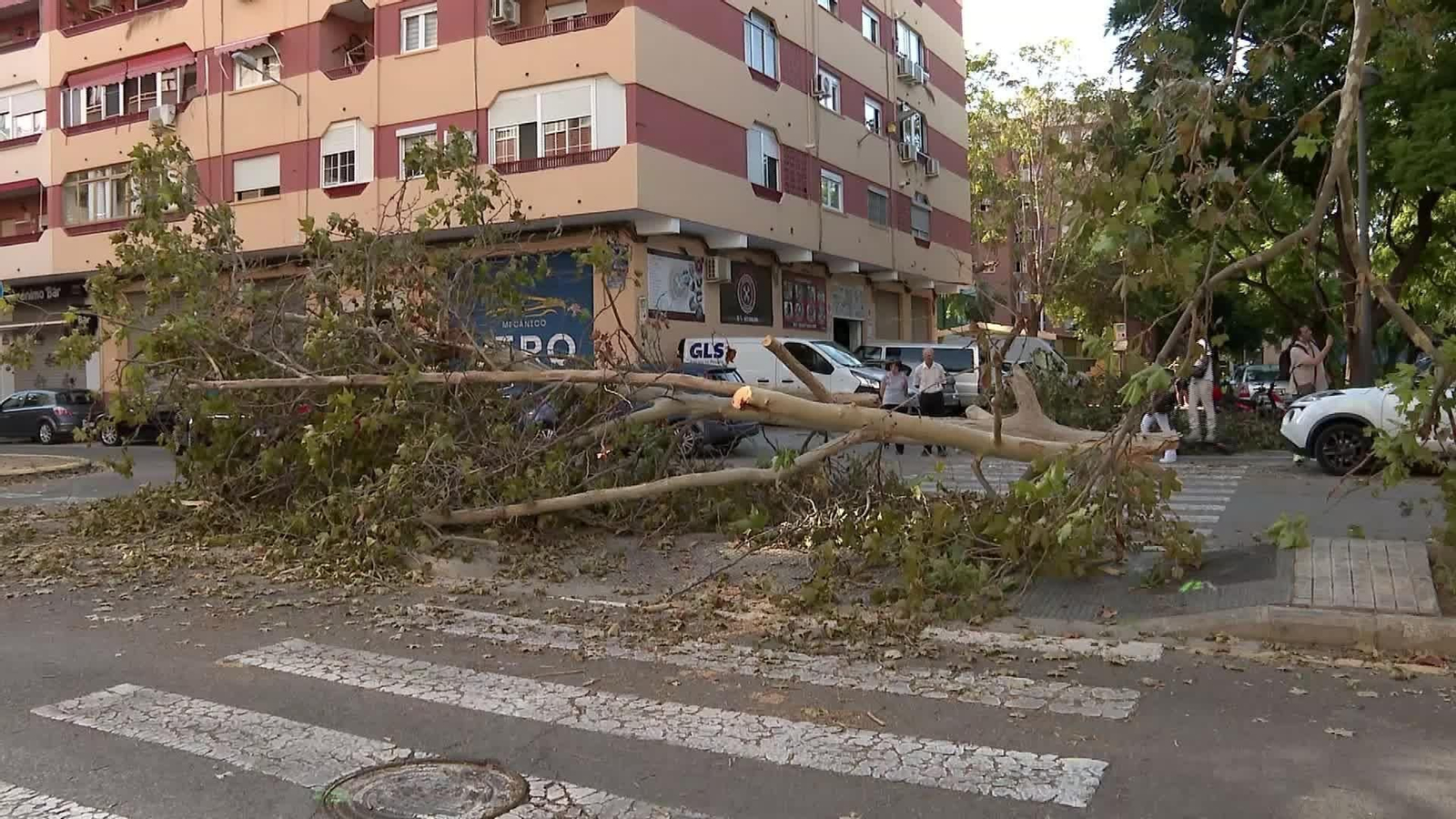 J073-VALENCIA LIMPIEZA LLUVIAS TARDE