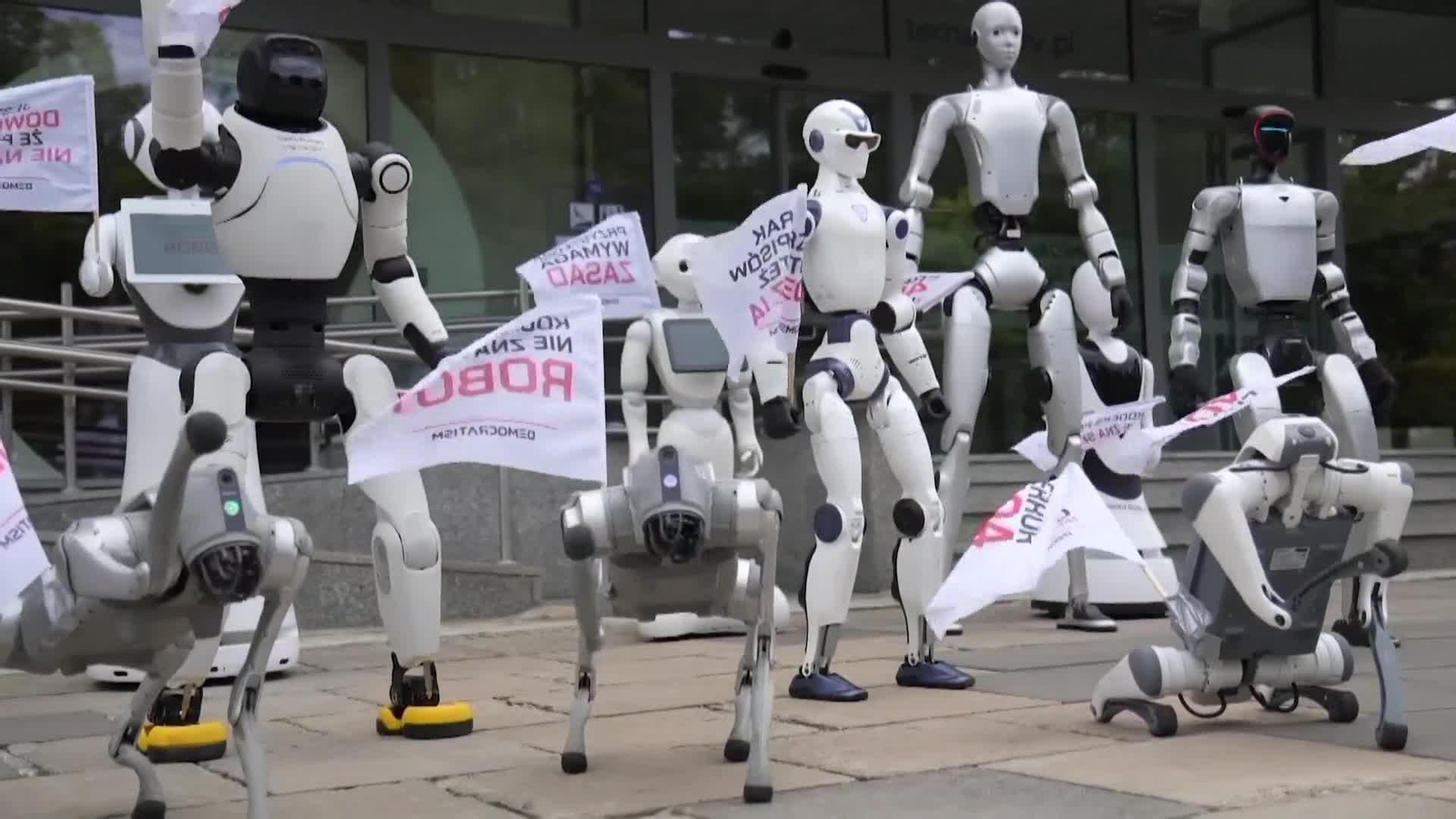 va polonia manifestacion de robots
