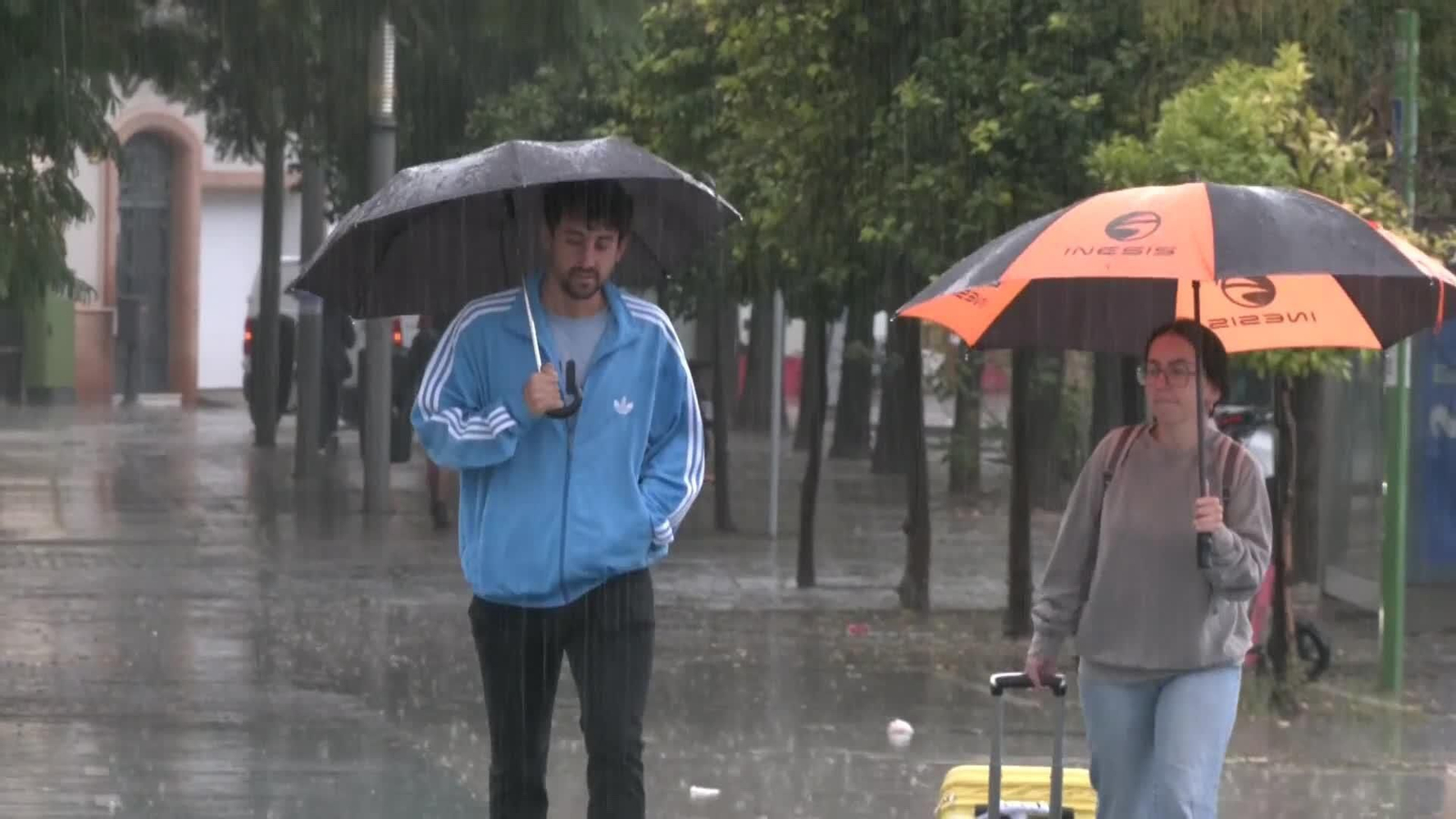 web al fin llega el frio ok web al fin llega el frio ok