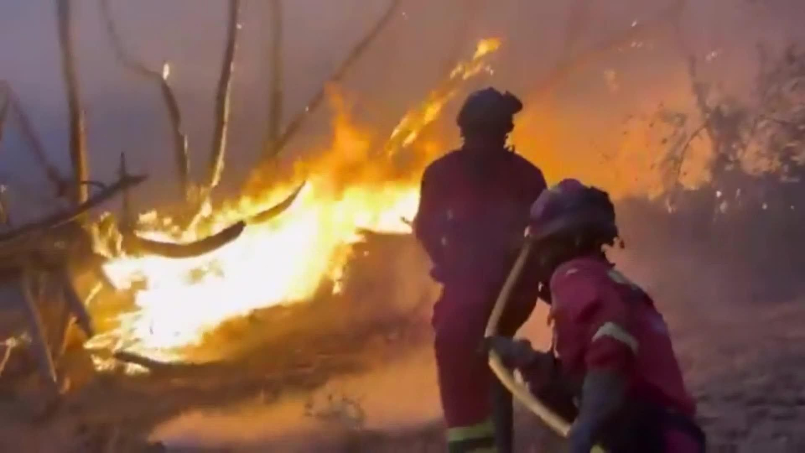 web incendioavilaok