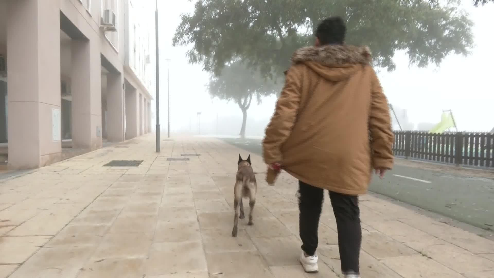 M060-SEVILLA NORMATIVA PETARDOS