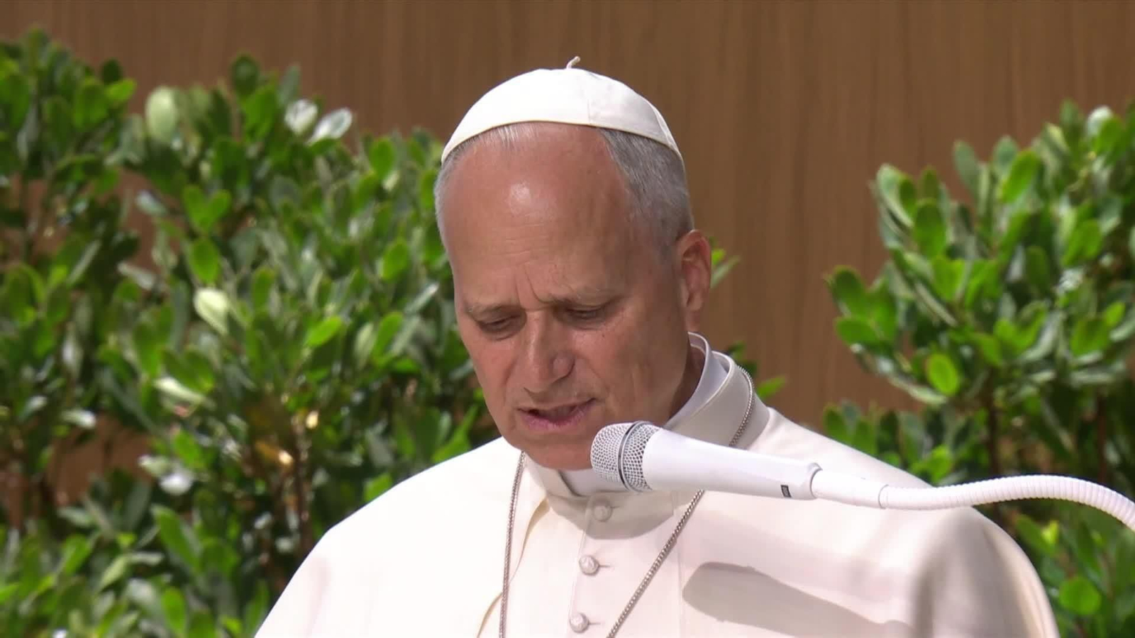 va total papa y salida