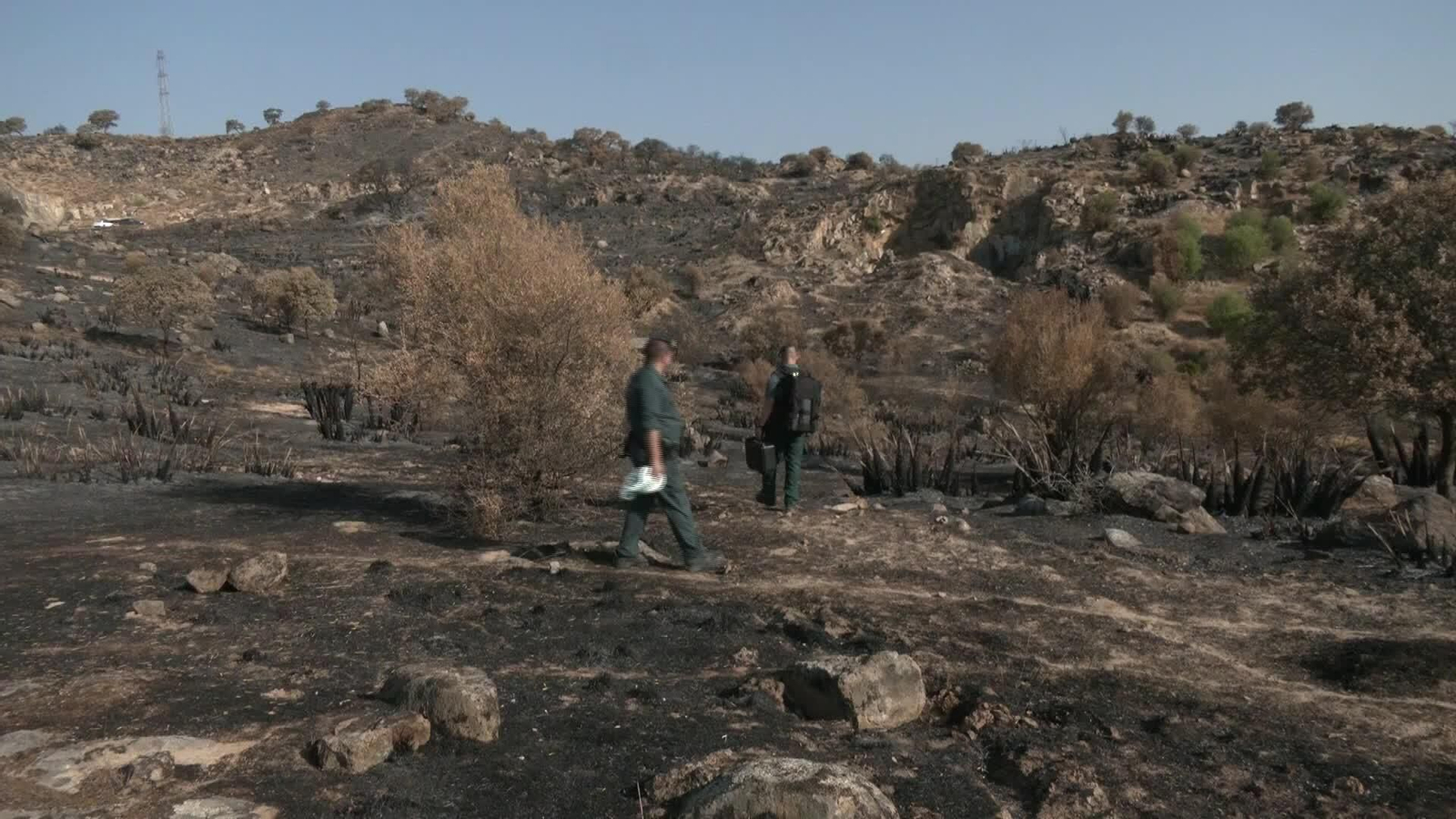 X046-CORDOBA AGENTES FORESTALES