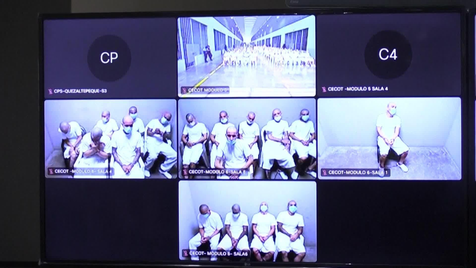 va juicios mara salvatrucha