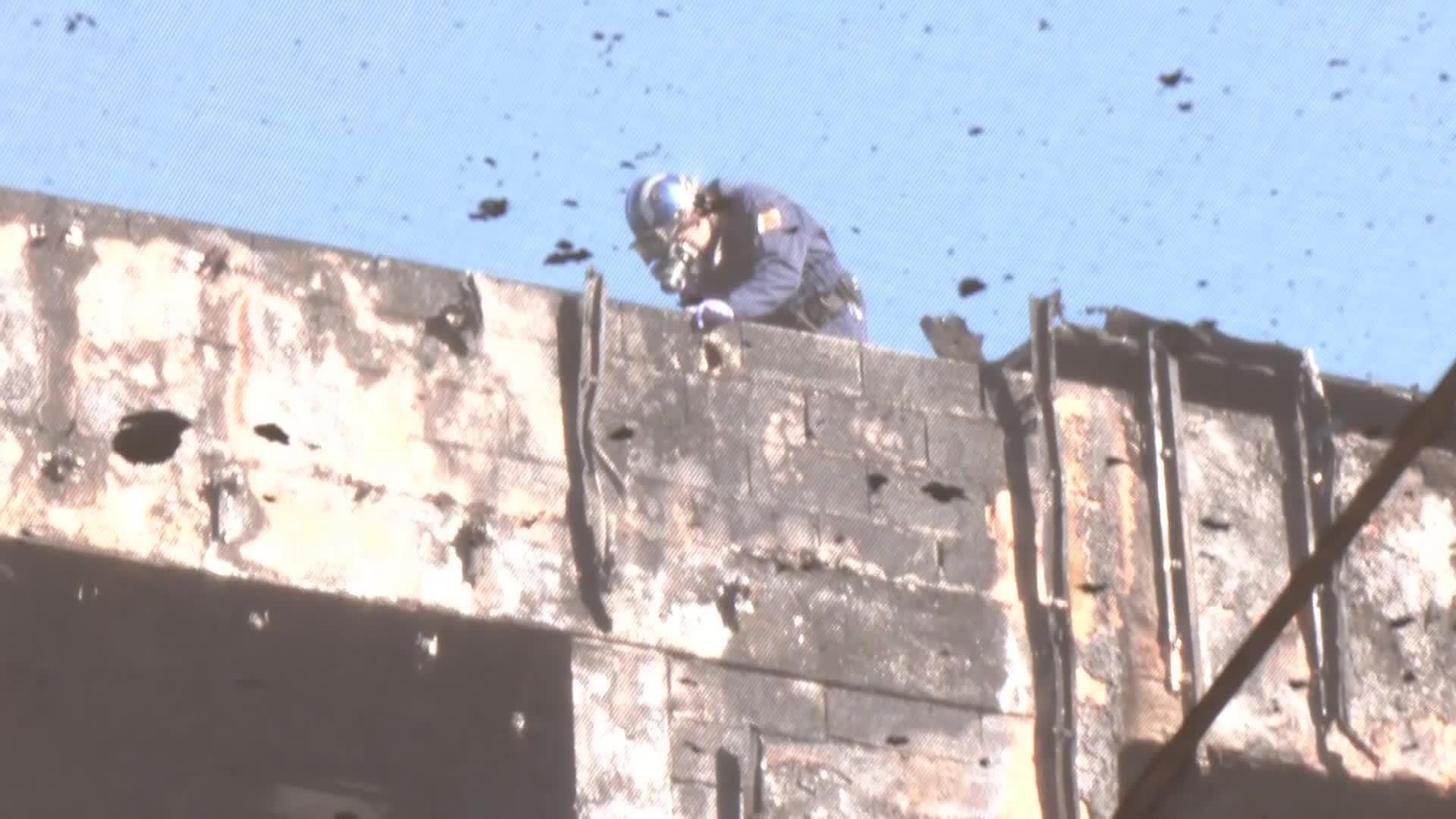 web cartagena jueves ok