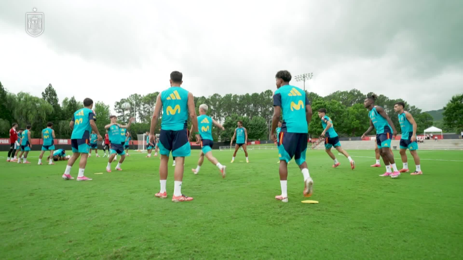 va entrenamiento seleccion