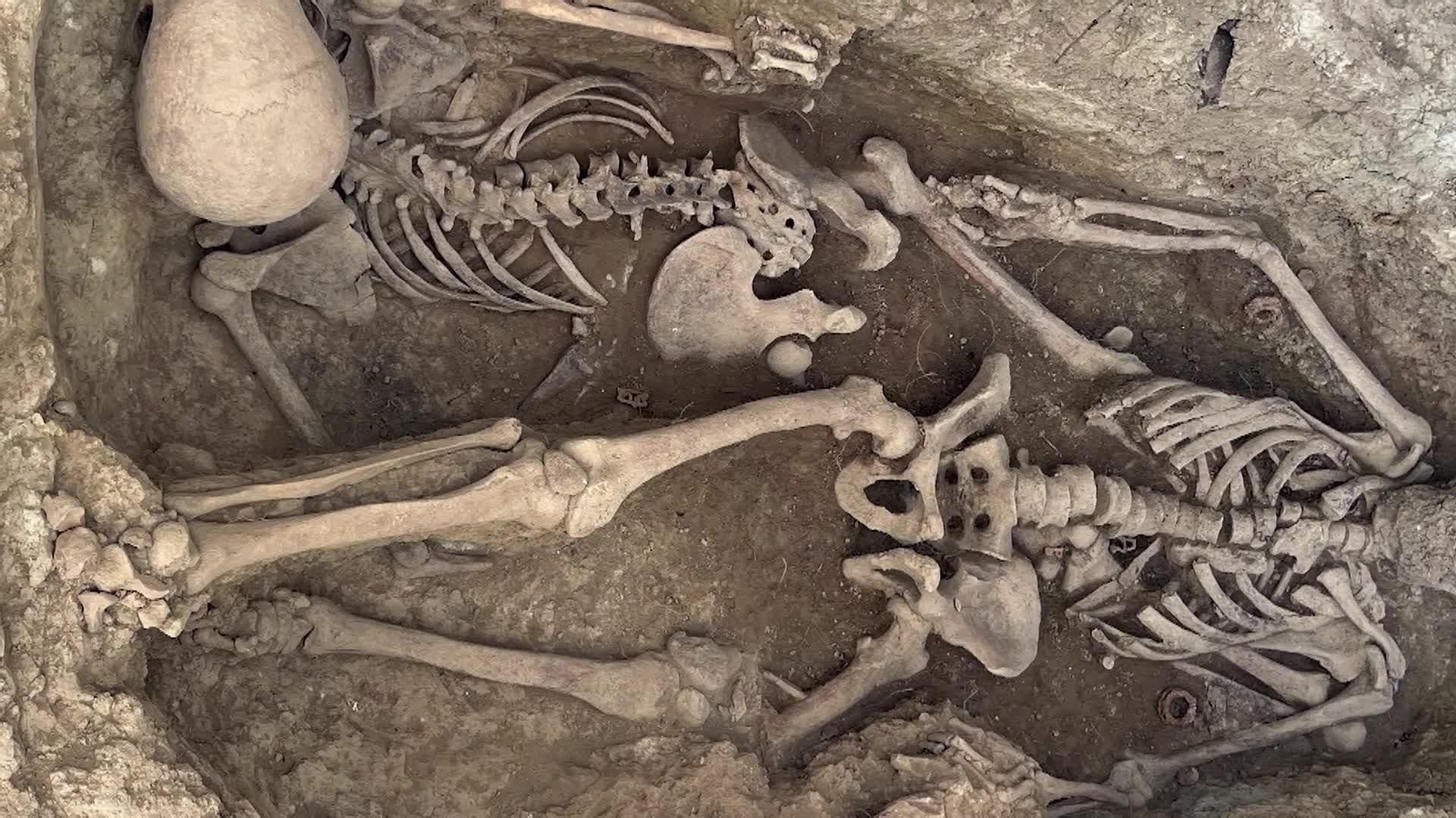 web fosa comun lleida