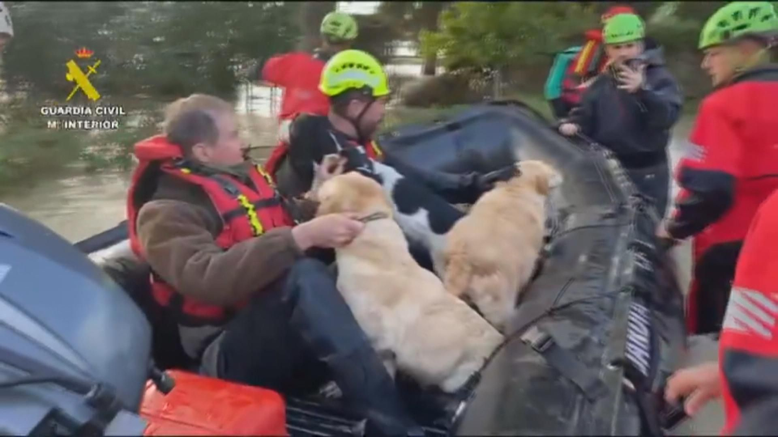 Rescate de animales por parte de la Guardia Civil
