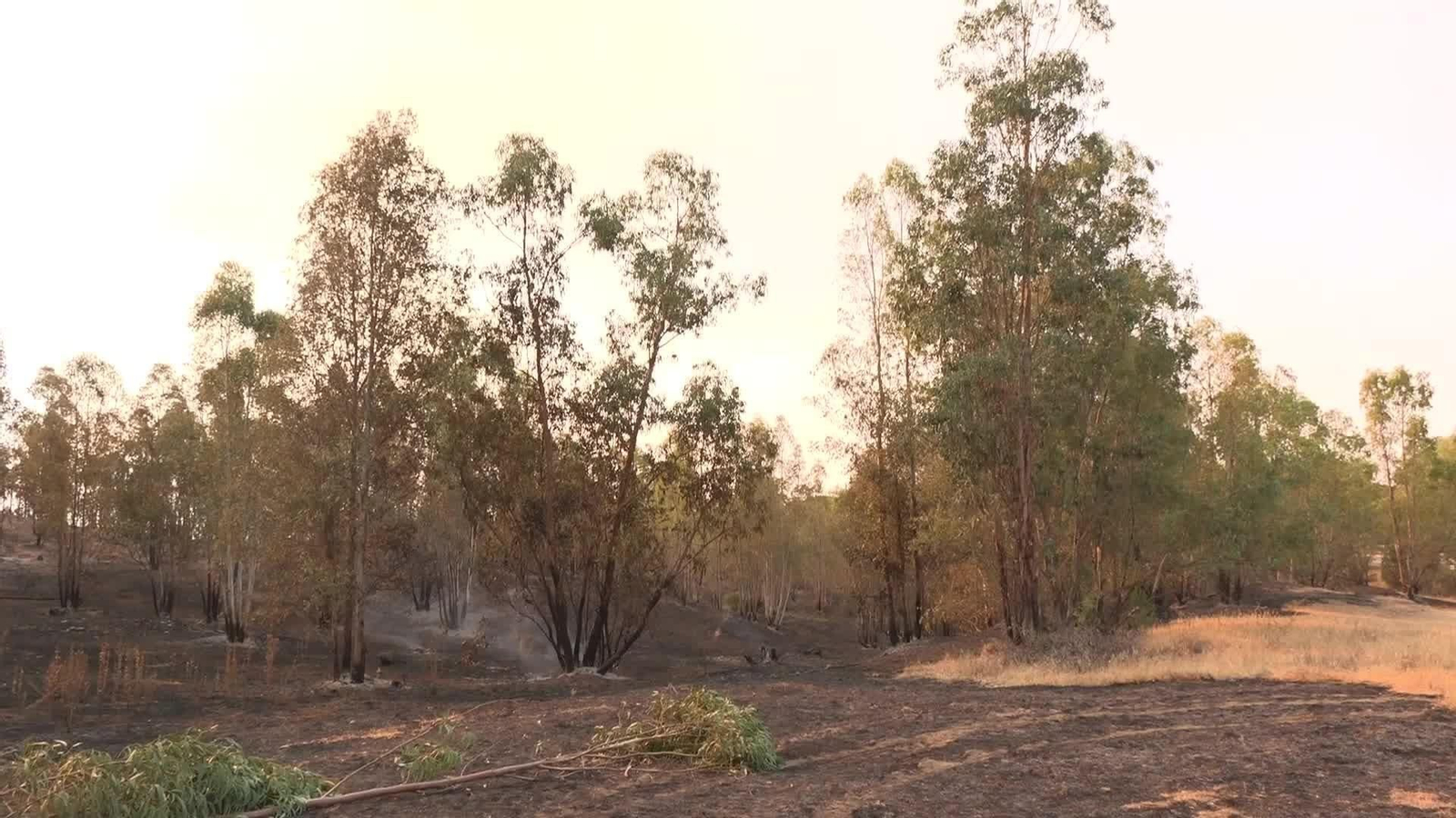 V019-HUELVA INCENDIO NIEBLA