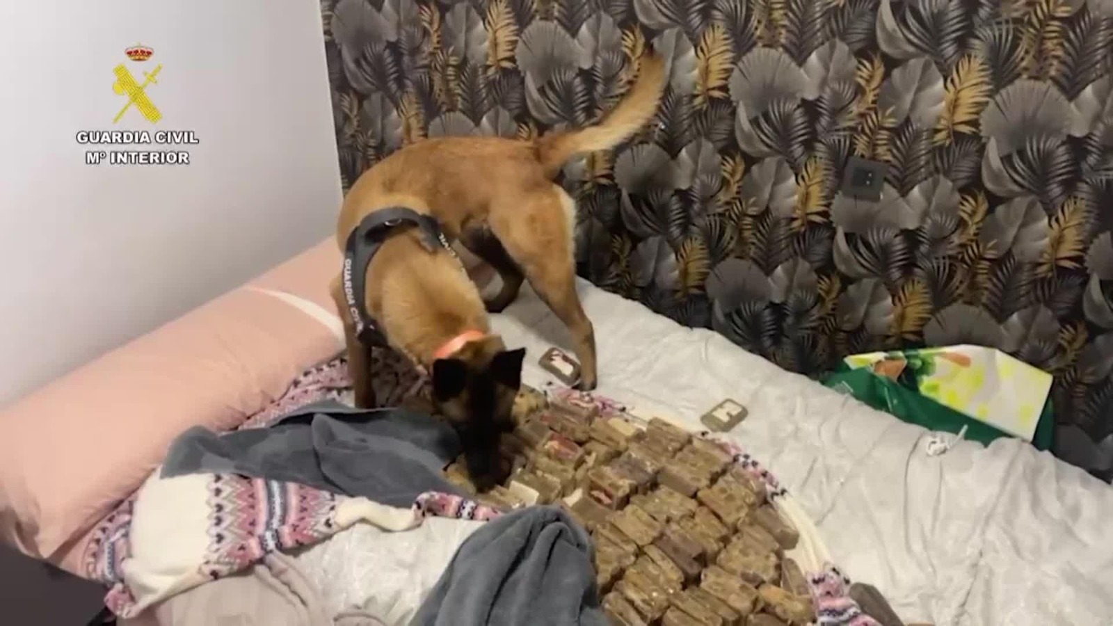 va detenidos asesinato por encargo