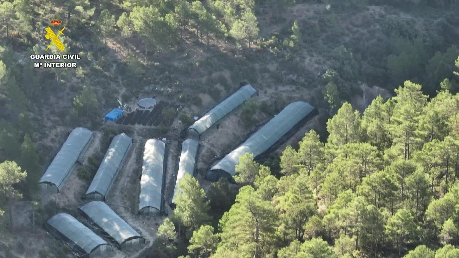 L013-TERUEL OP GC INVERNADEROS MARIHUANA