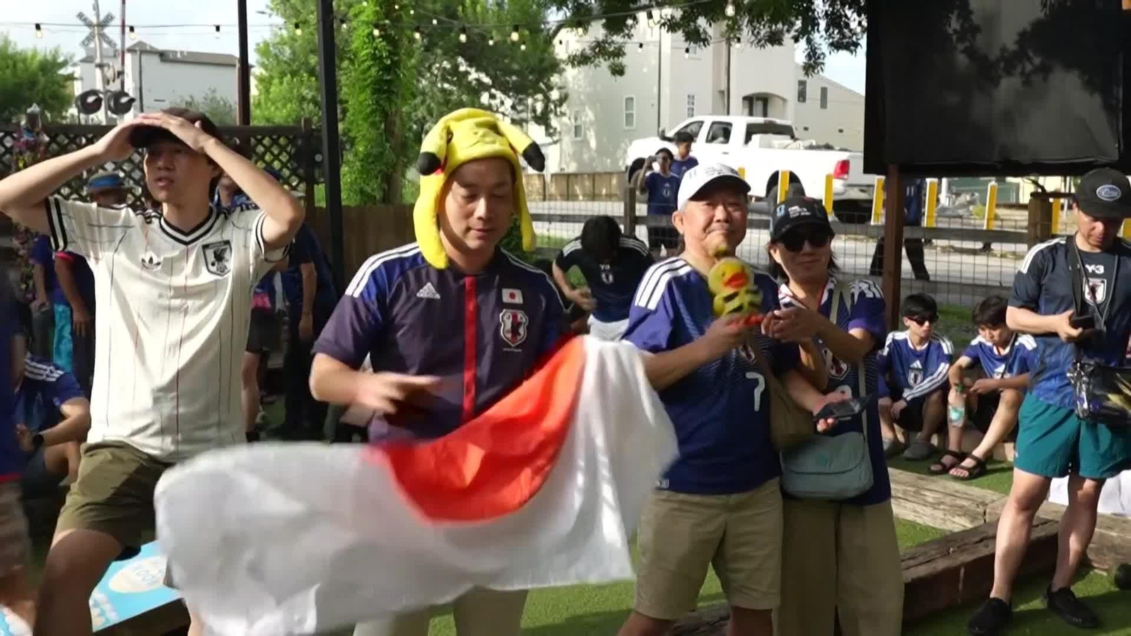 va aficiones brasil y japon