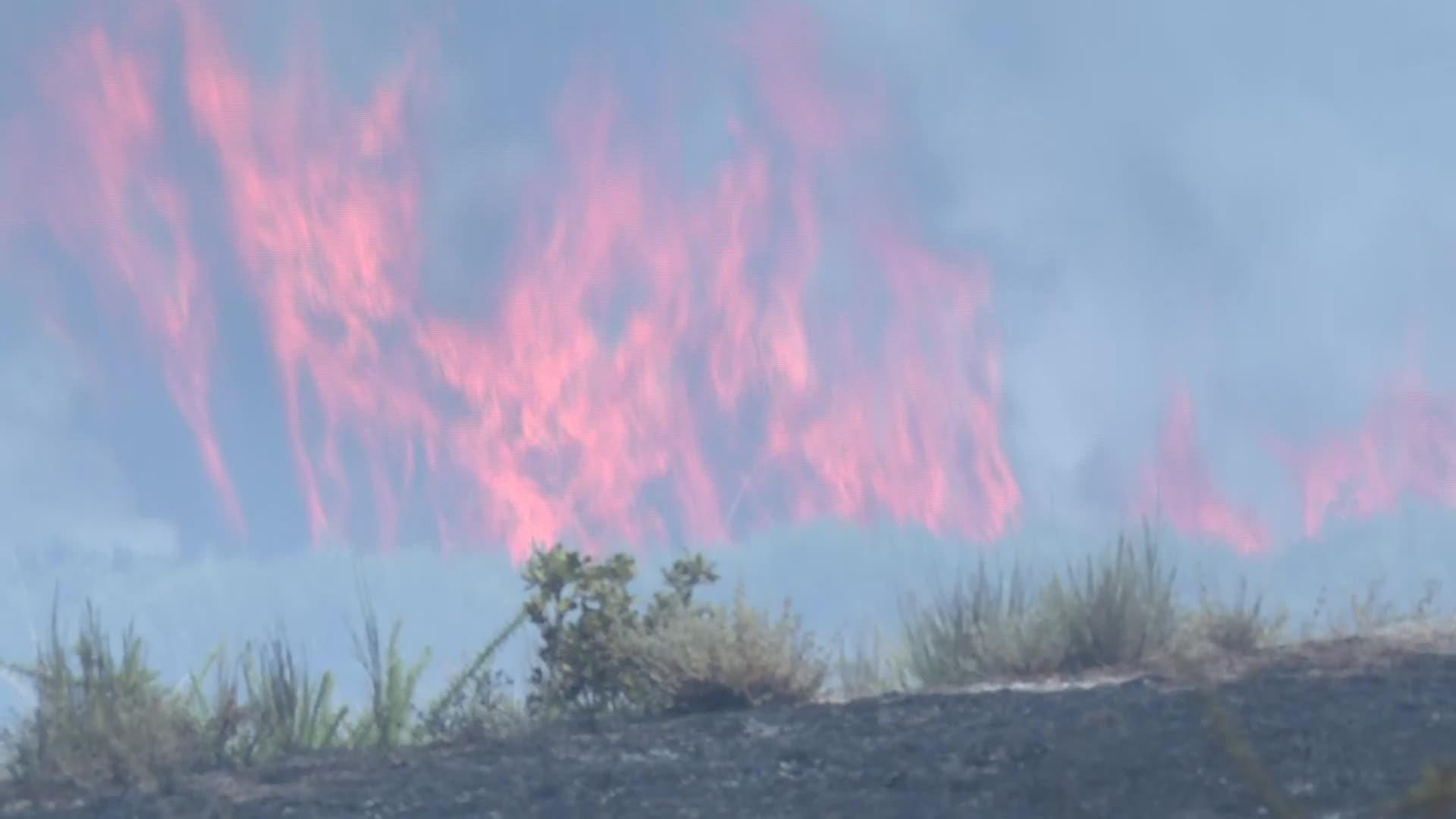 X066-EDI VARIOS BULOS SOBRE INCENDIOS