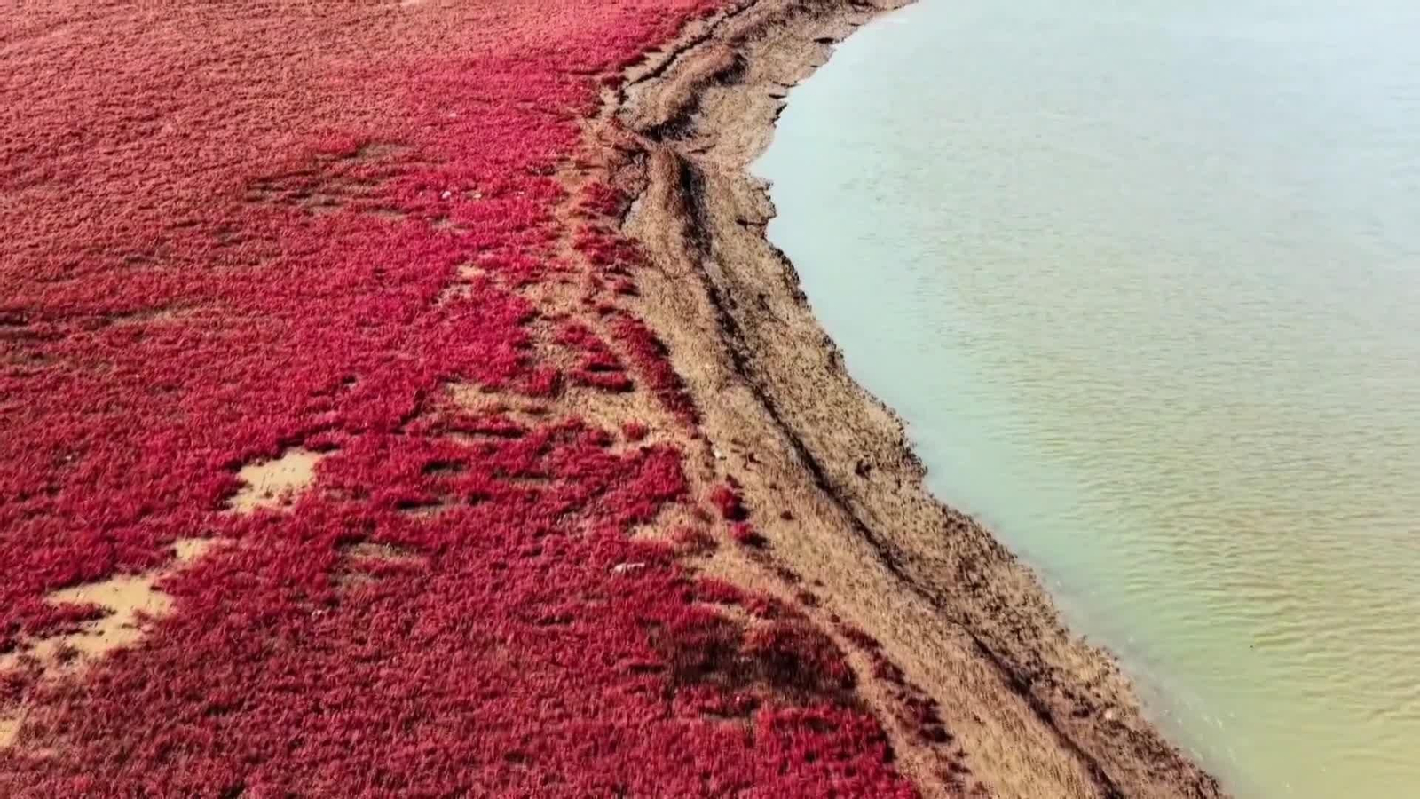 va playa roja china