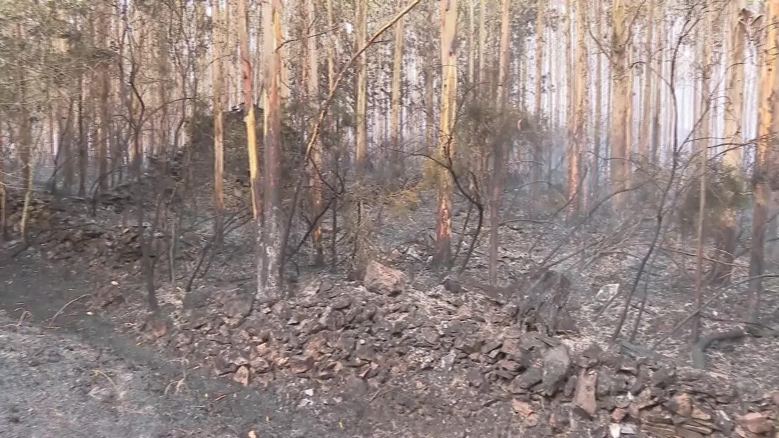 L032-LUGO BRIGADISTAS HERIDOS INCENDIO BARREIROS