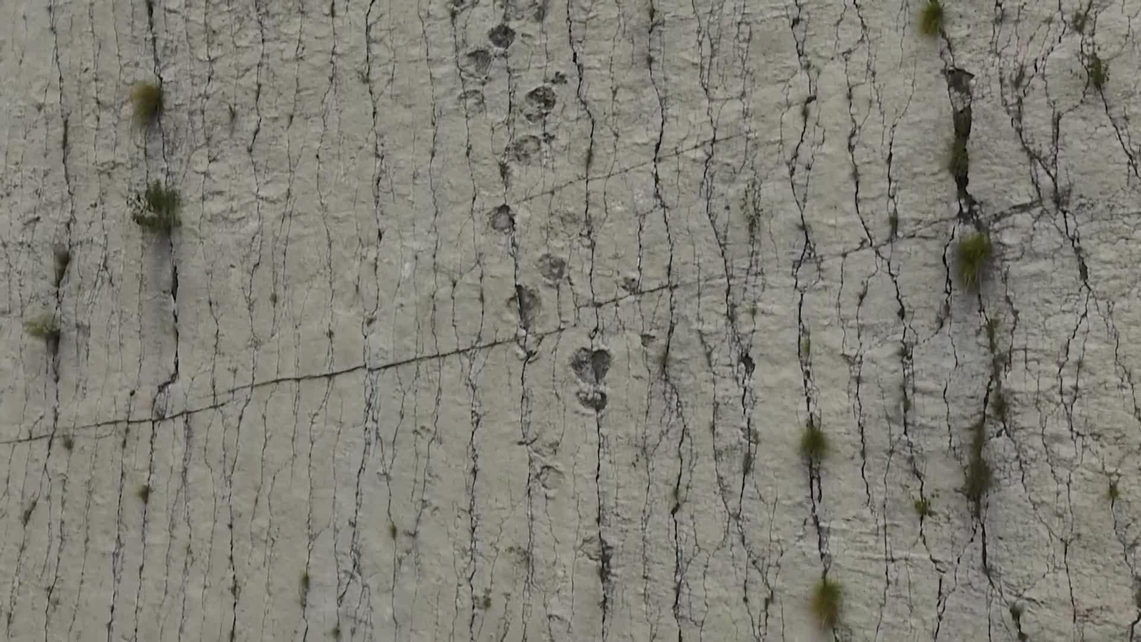 va acantilado dinosaurios