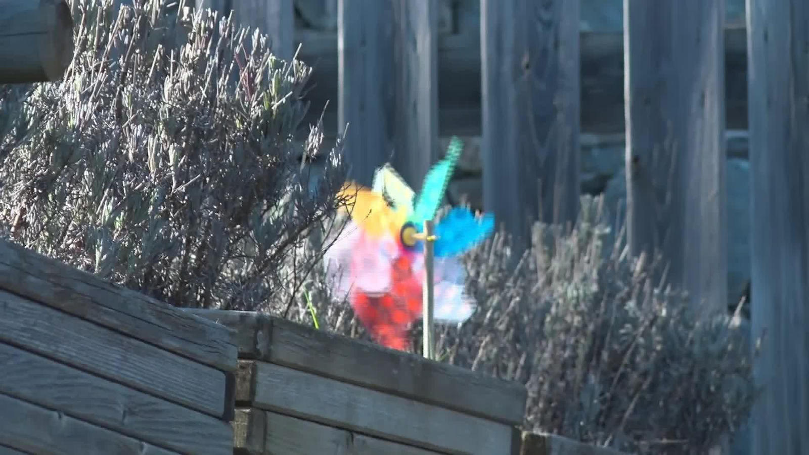 D029-GIRONA ALERTA VIENTO TARDE