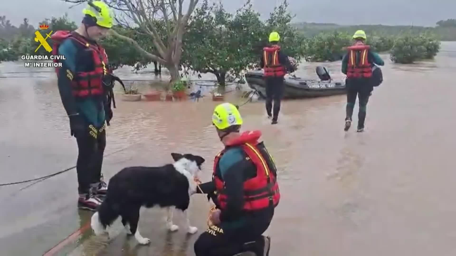 va traslado mascotas por la guardia civil en las inundaciones