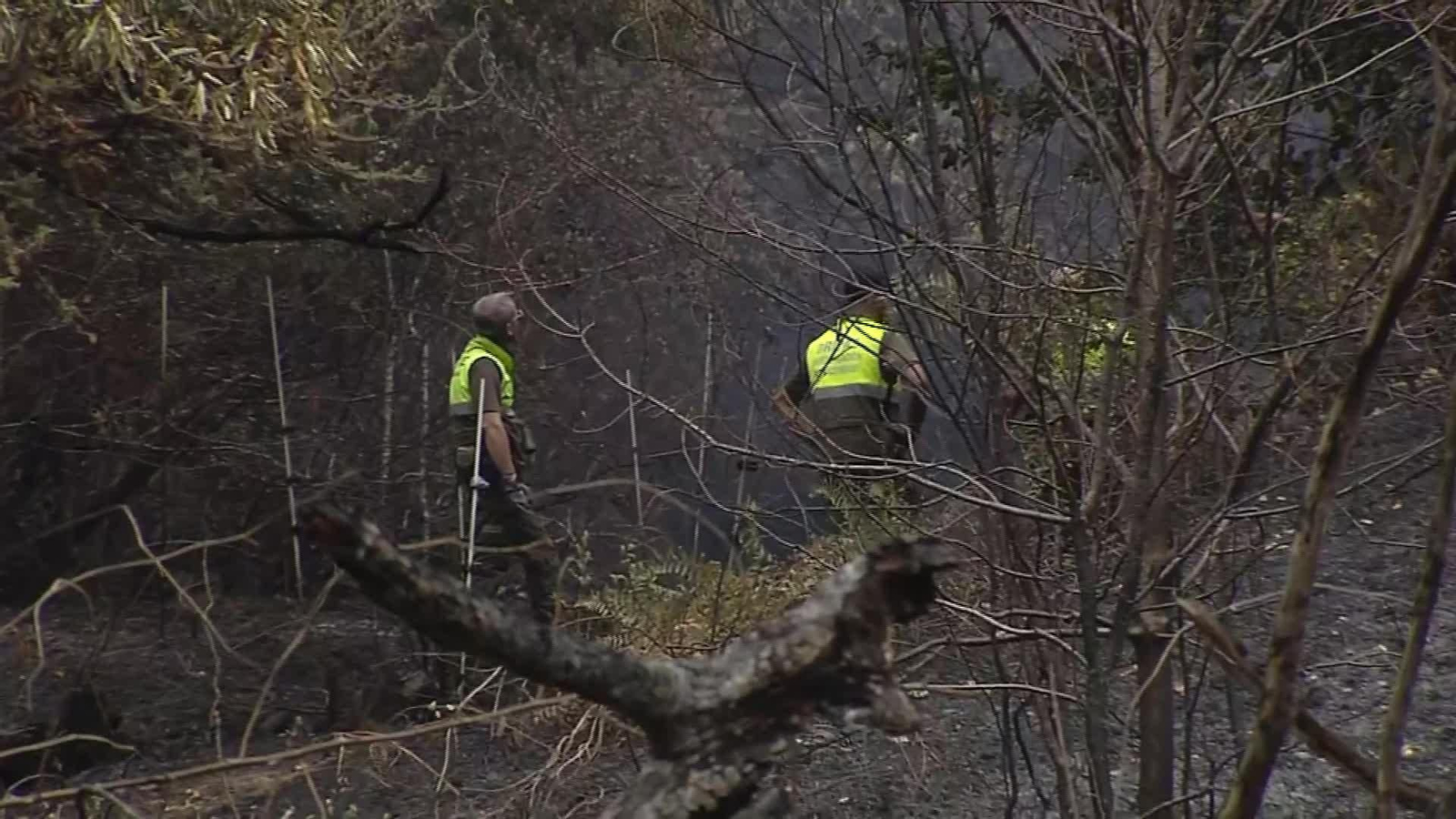 X058-ASTURIAS INCENDIO IBIAS TARDE