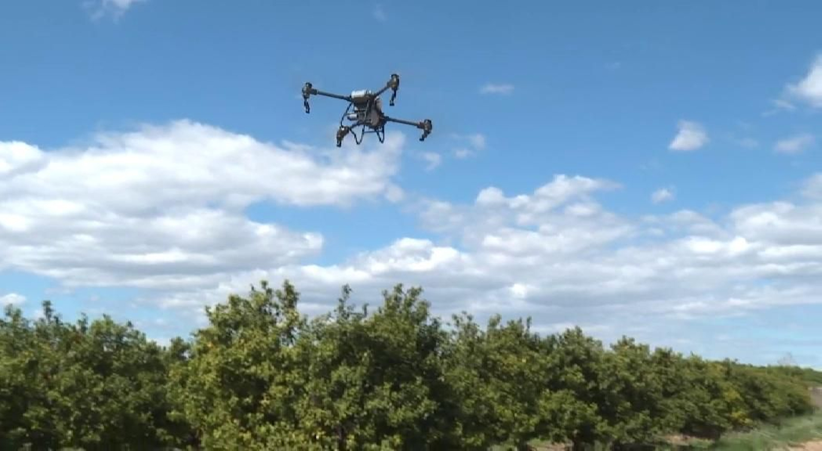 Los drones 'sobrevuelan' el mundo de la agricultura Los drones 'sobrevuelan' el mundo de la agricultura