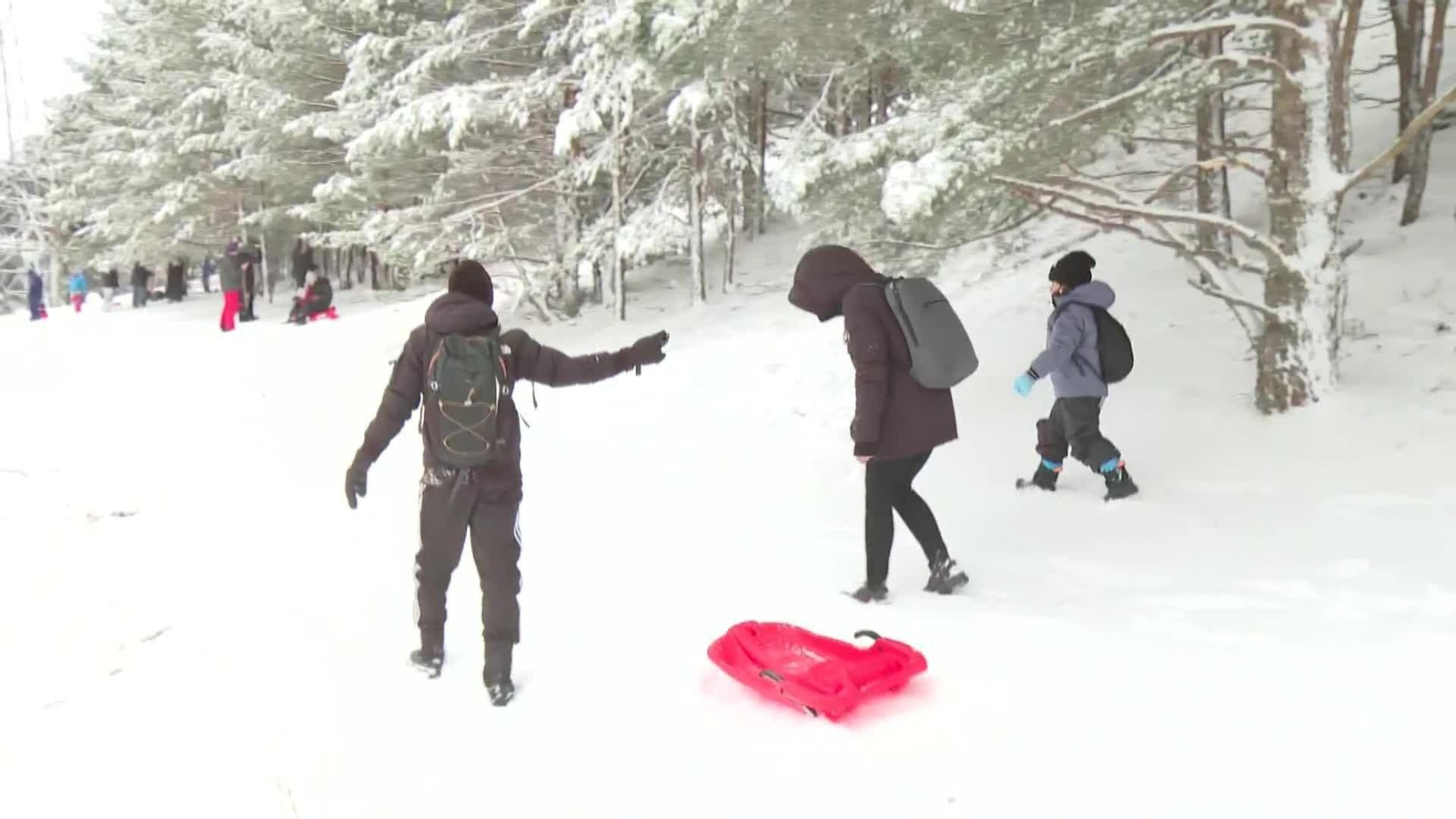 web nieve mix granada y madrid **SIN DRON LA GRANJA**