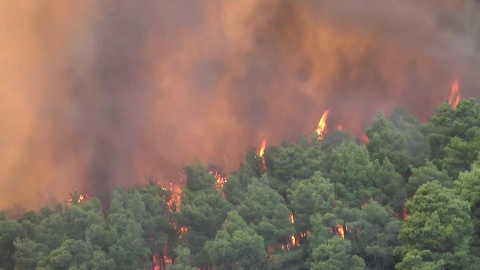 web incendios grecia