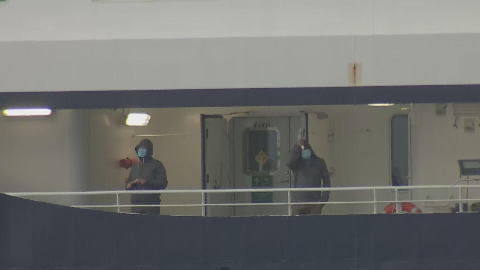 D012 TENERIFE PUERTO BARCO HANTAVIRUS AMPLIADO frame 22368