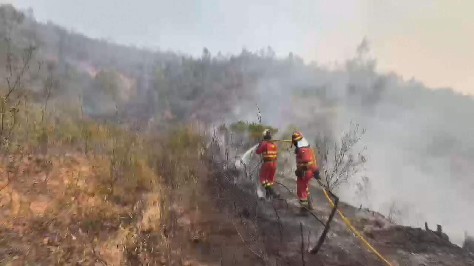 X047 EDI VARIOS INCENDIOS frame 306
