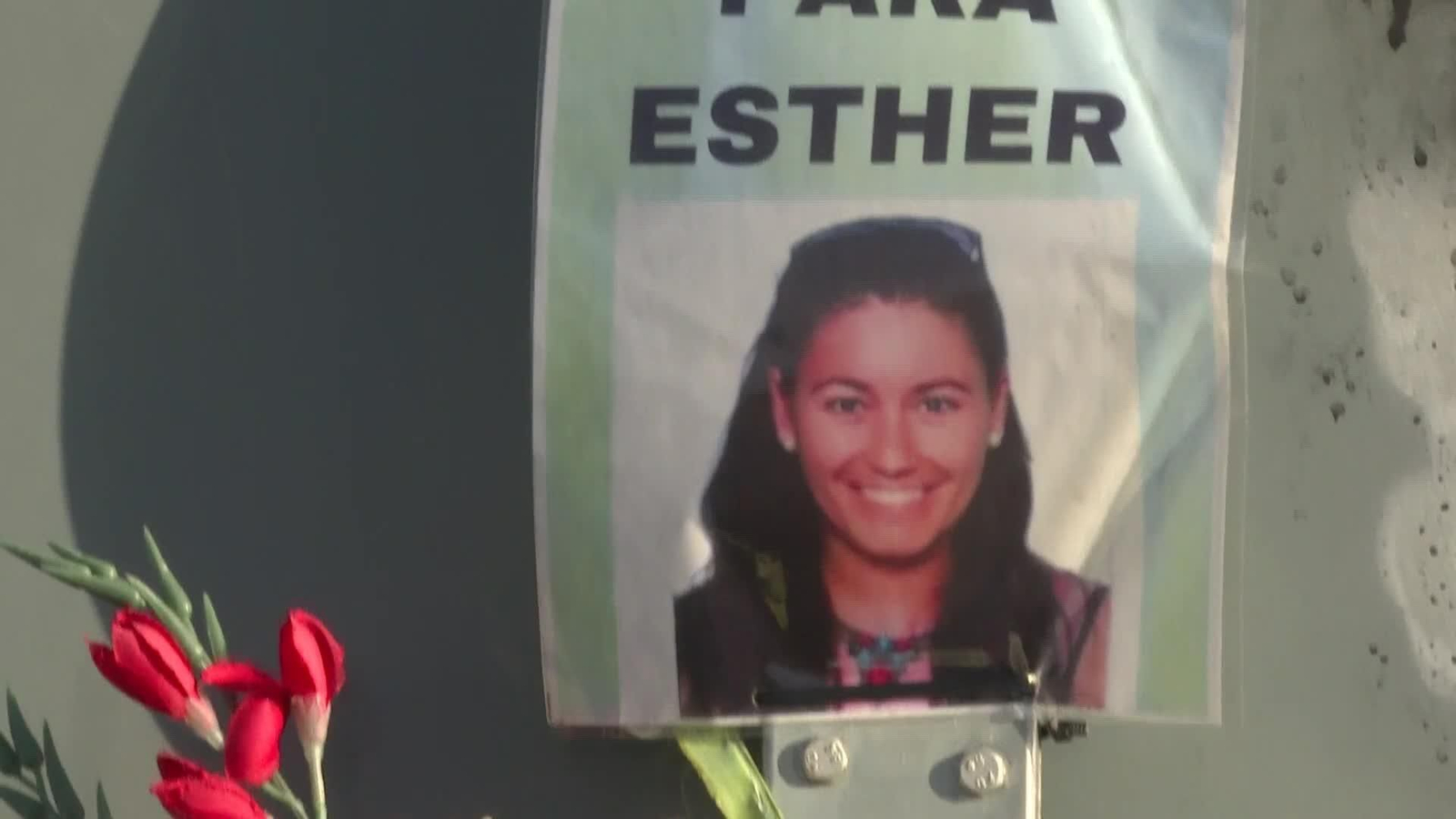 web novedades traspinedo