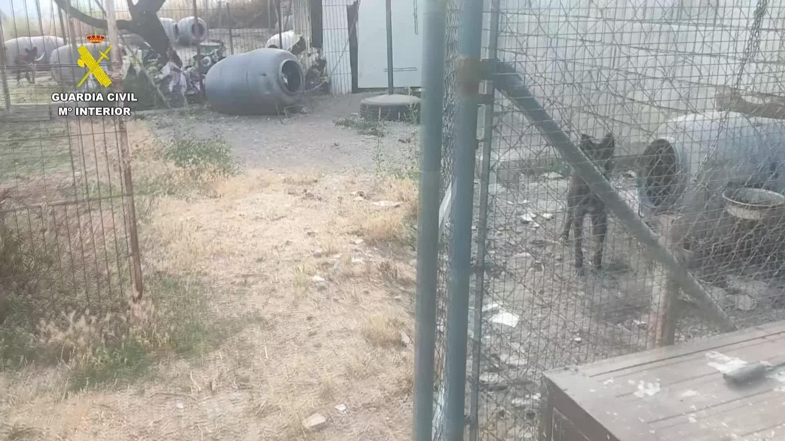V040-GRANADA GUARDIA CIVIL MALTRATO ANIMAL