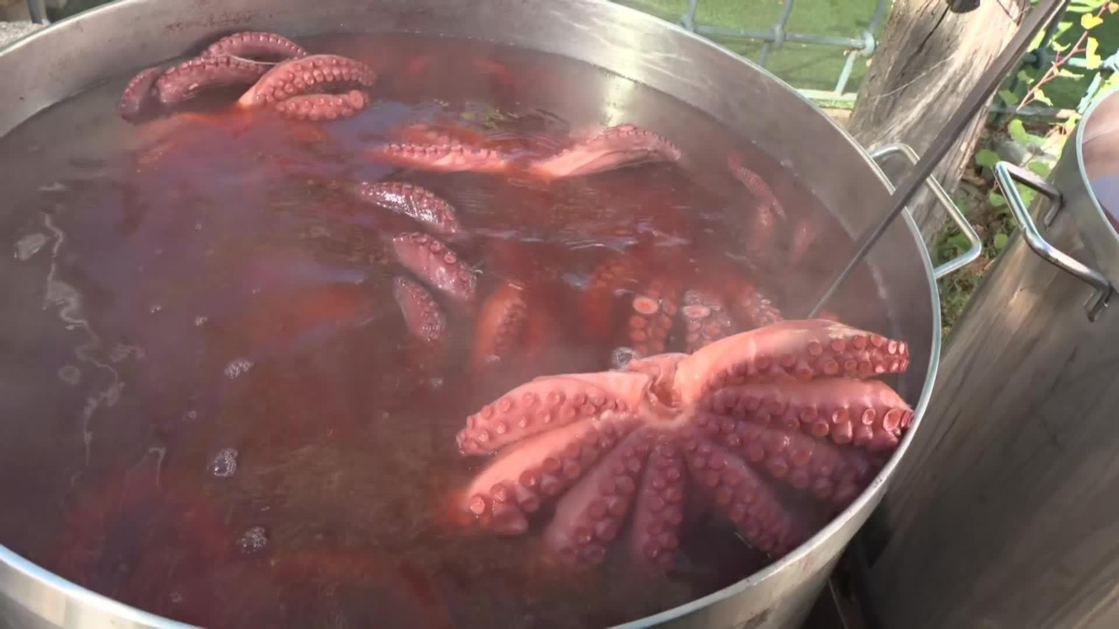 va feria del piulpo