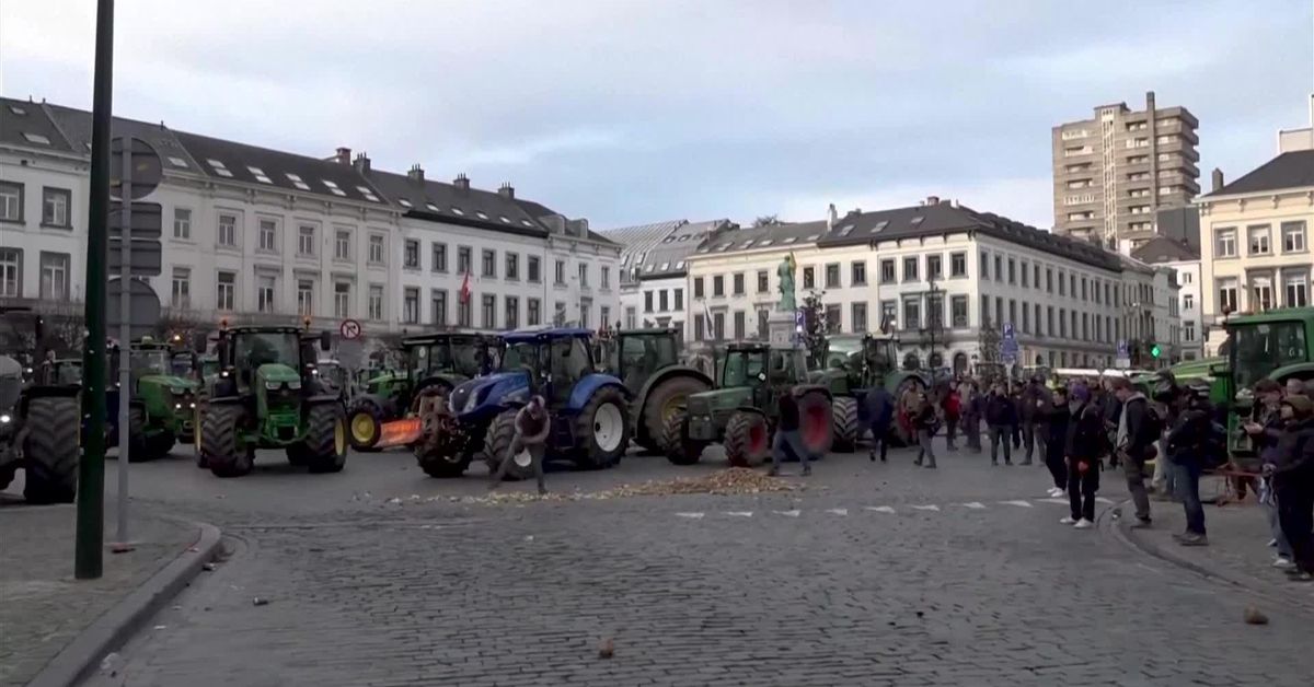 a686bc3d-7962-4119-aa57-93989e27c970_fac