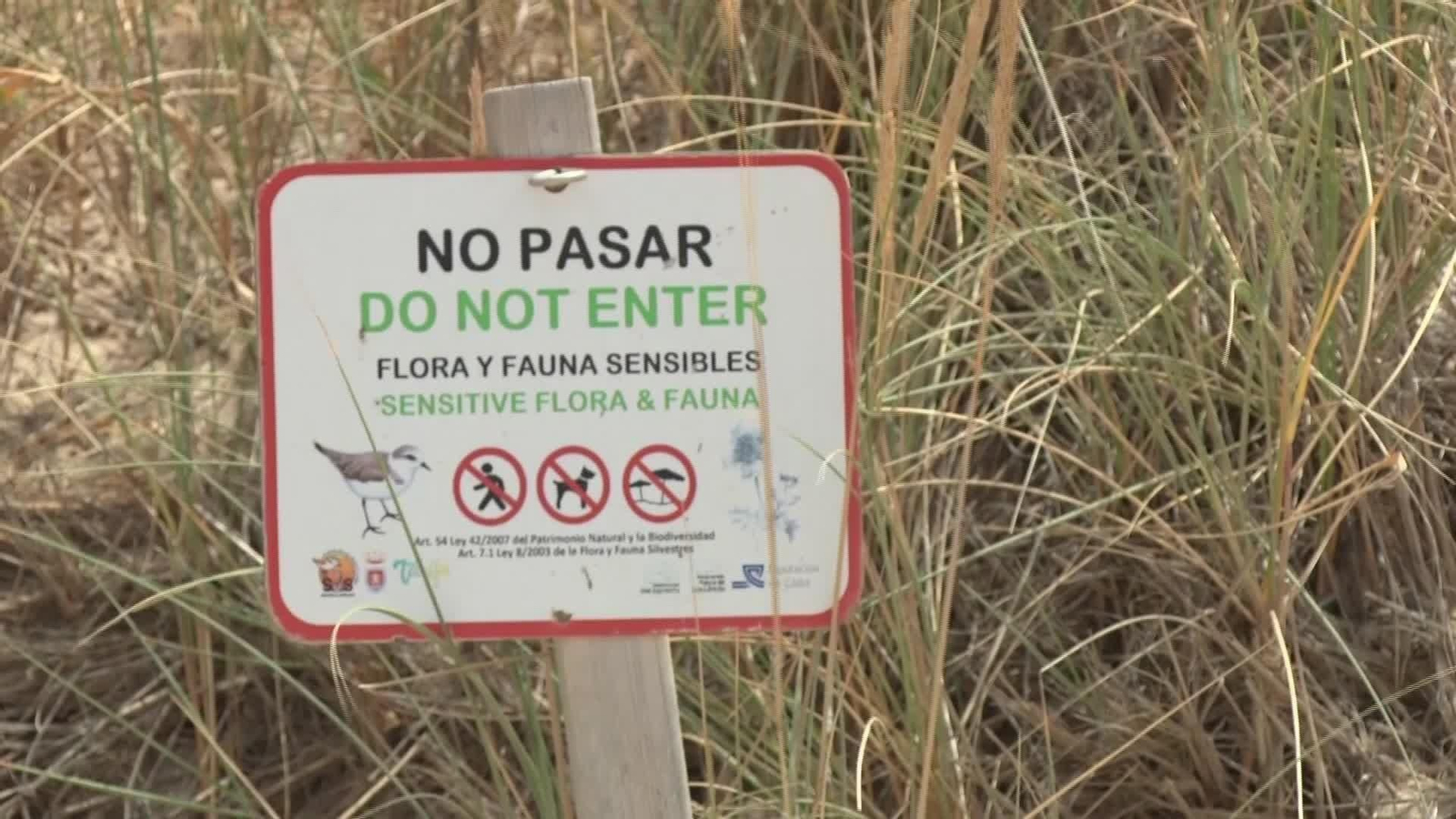 L003-EDI CADIZ TARIFA CONTRA AUTOCARAVANAS