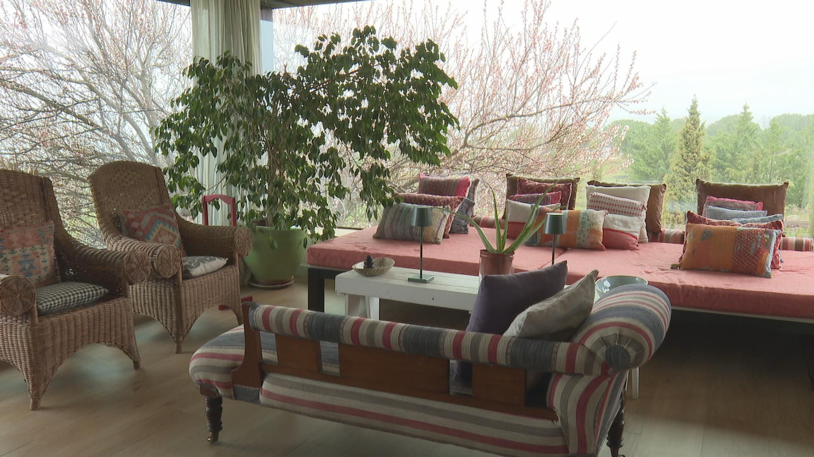 L049 MADRID MEDICINA AMBIENTAL frame 1755