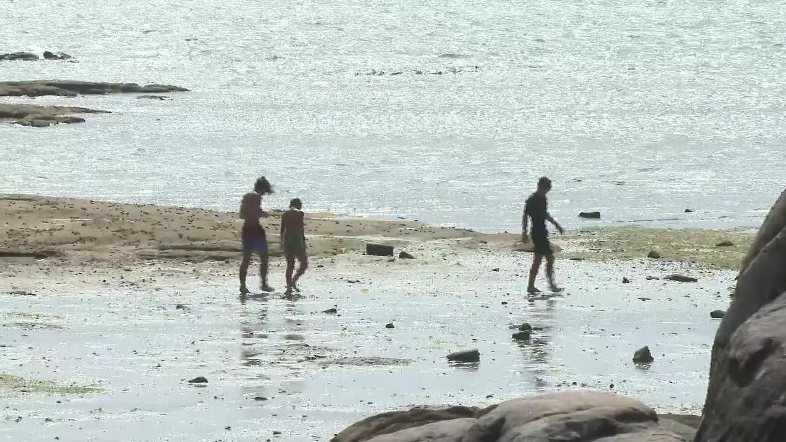 S043-PONTEVEDRA MARISCADORAS ISLA AROUSA