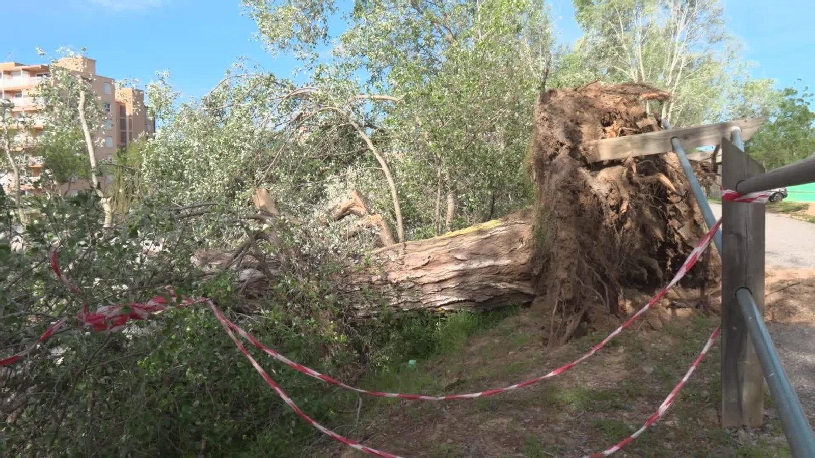 L025-VARIOS VIENTO MEDITERRANEO