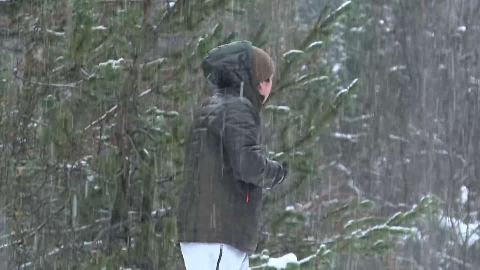 web lluvias y nieve españa