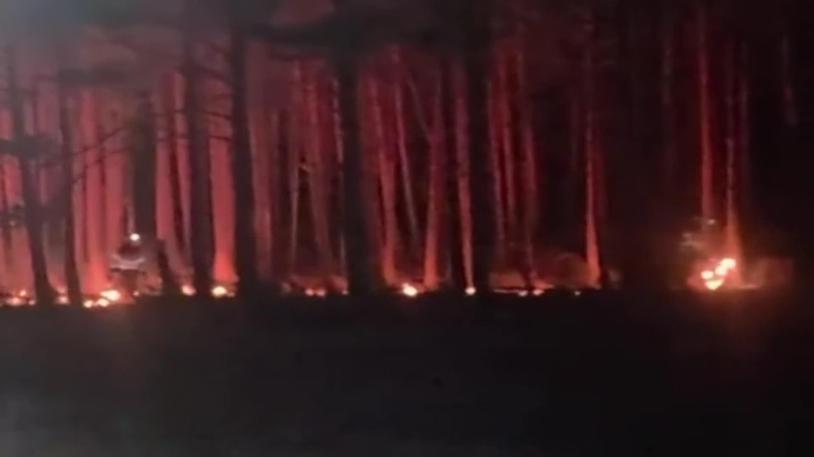 web incendios hoy