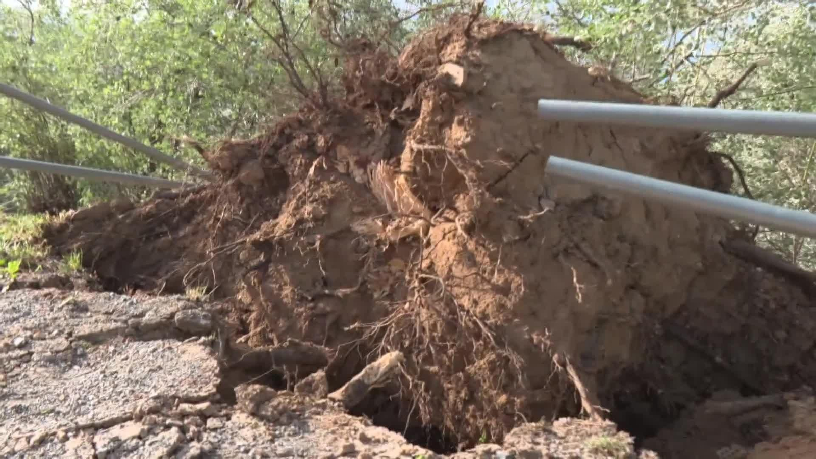 web mal tiempo y viento