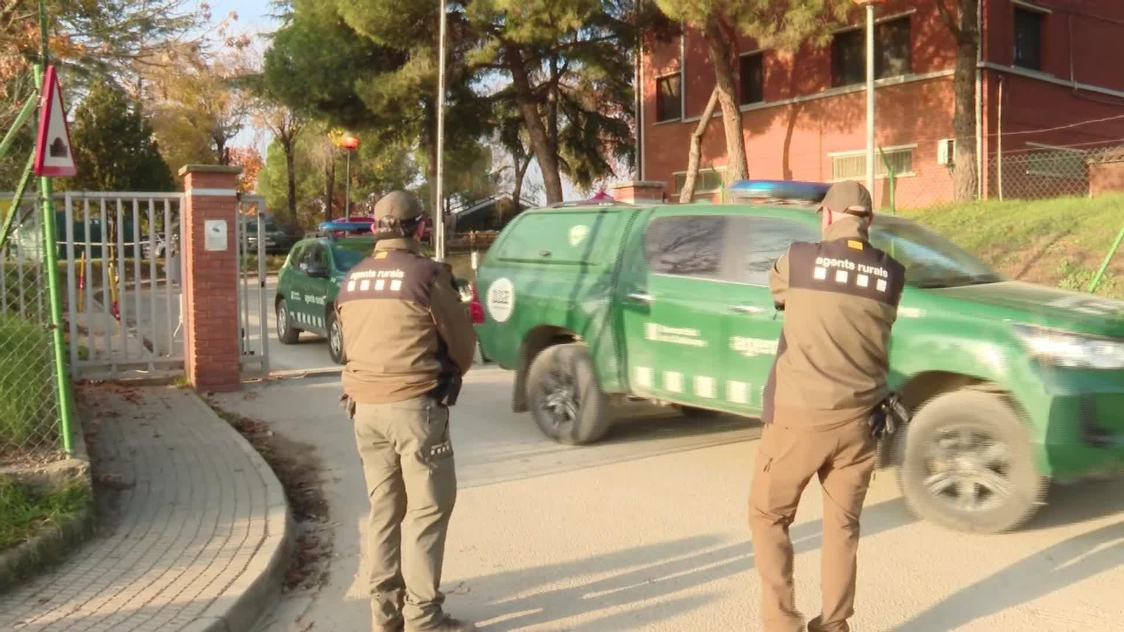 M023-BARCELONA SITUACION PESTE PORCINA