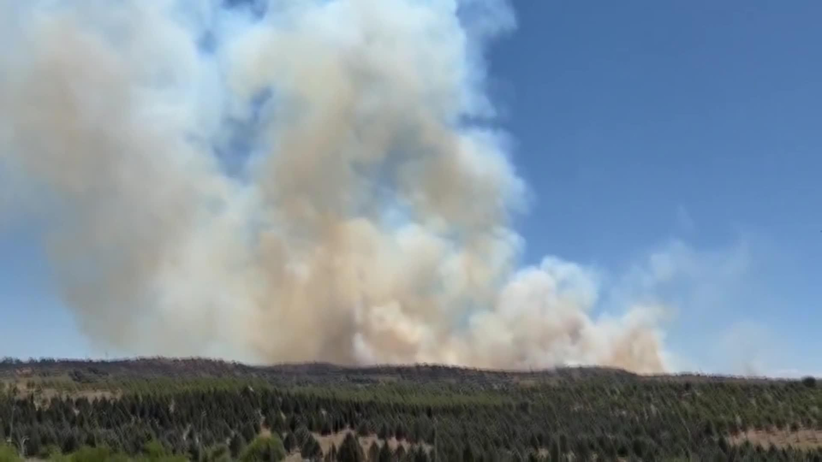 va incendio toledo