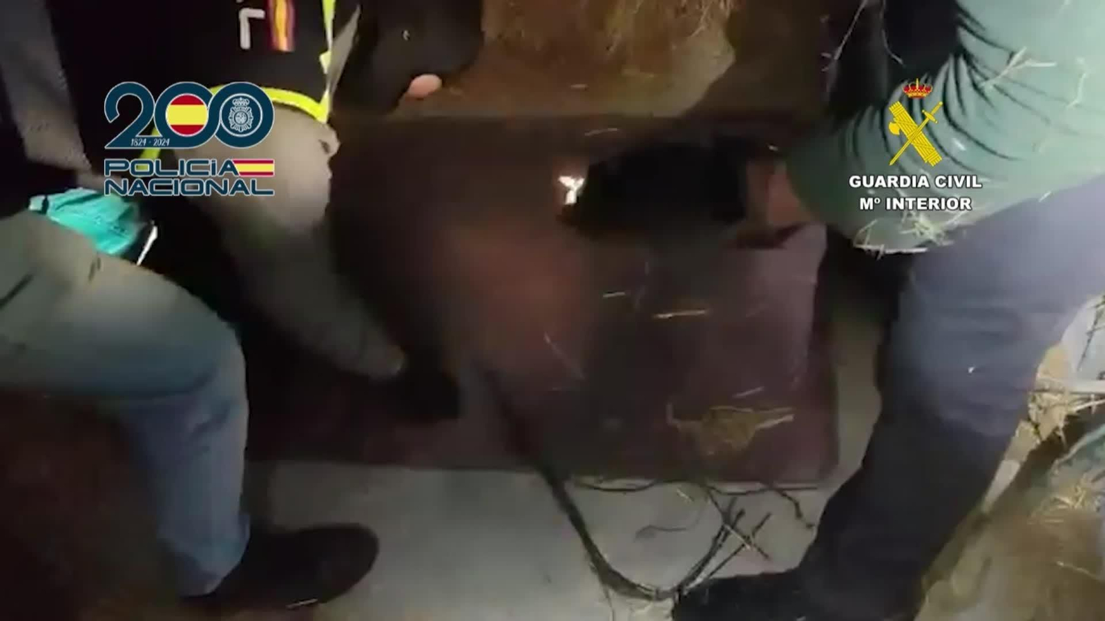 V013-IMAGENES POLICIA OPERACION NARCOTRAFICO SEVILLA