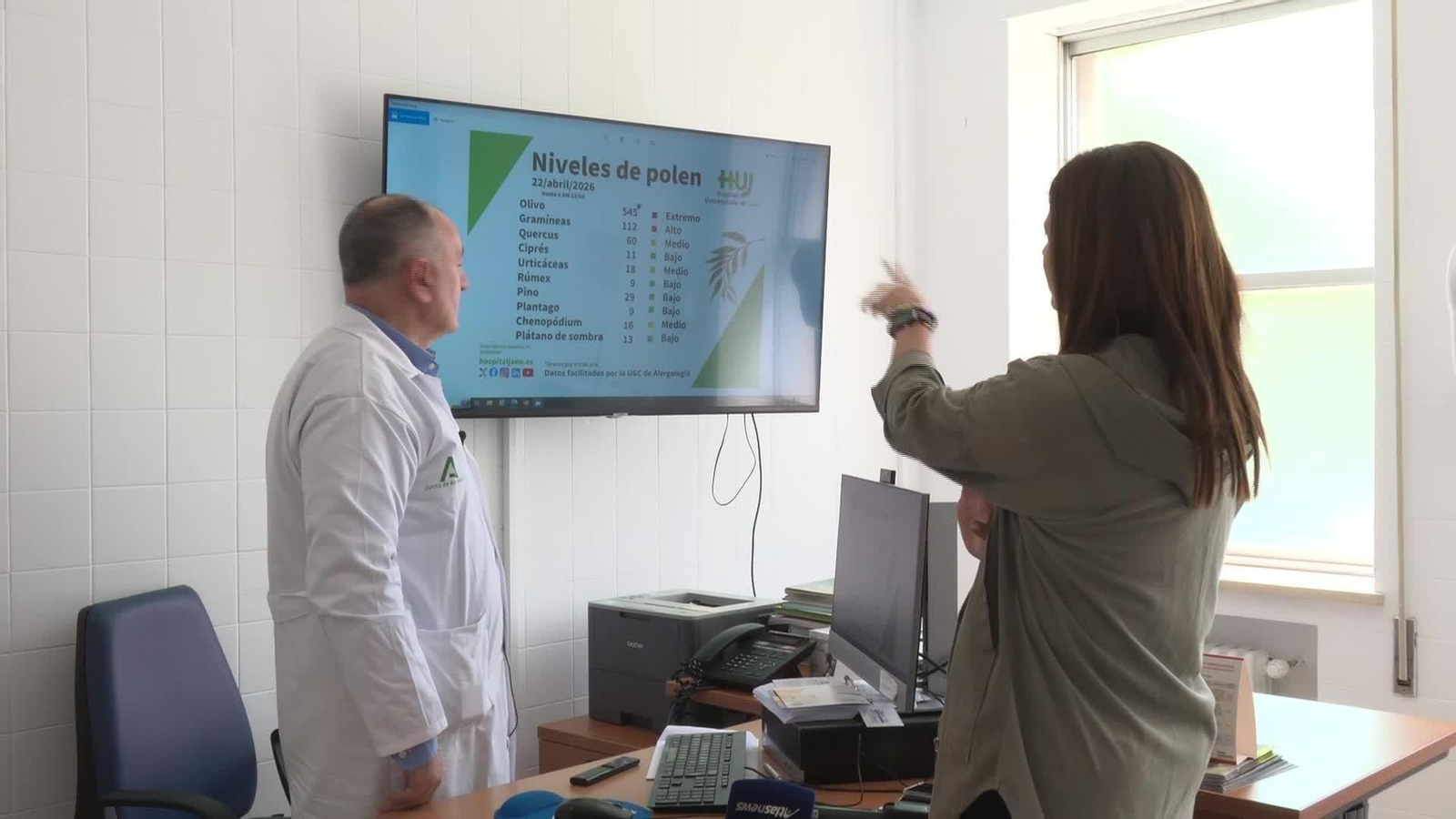 J054-JAEN PICOS DE POLEN Y POLVO