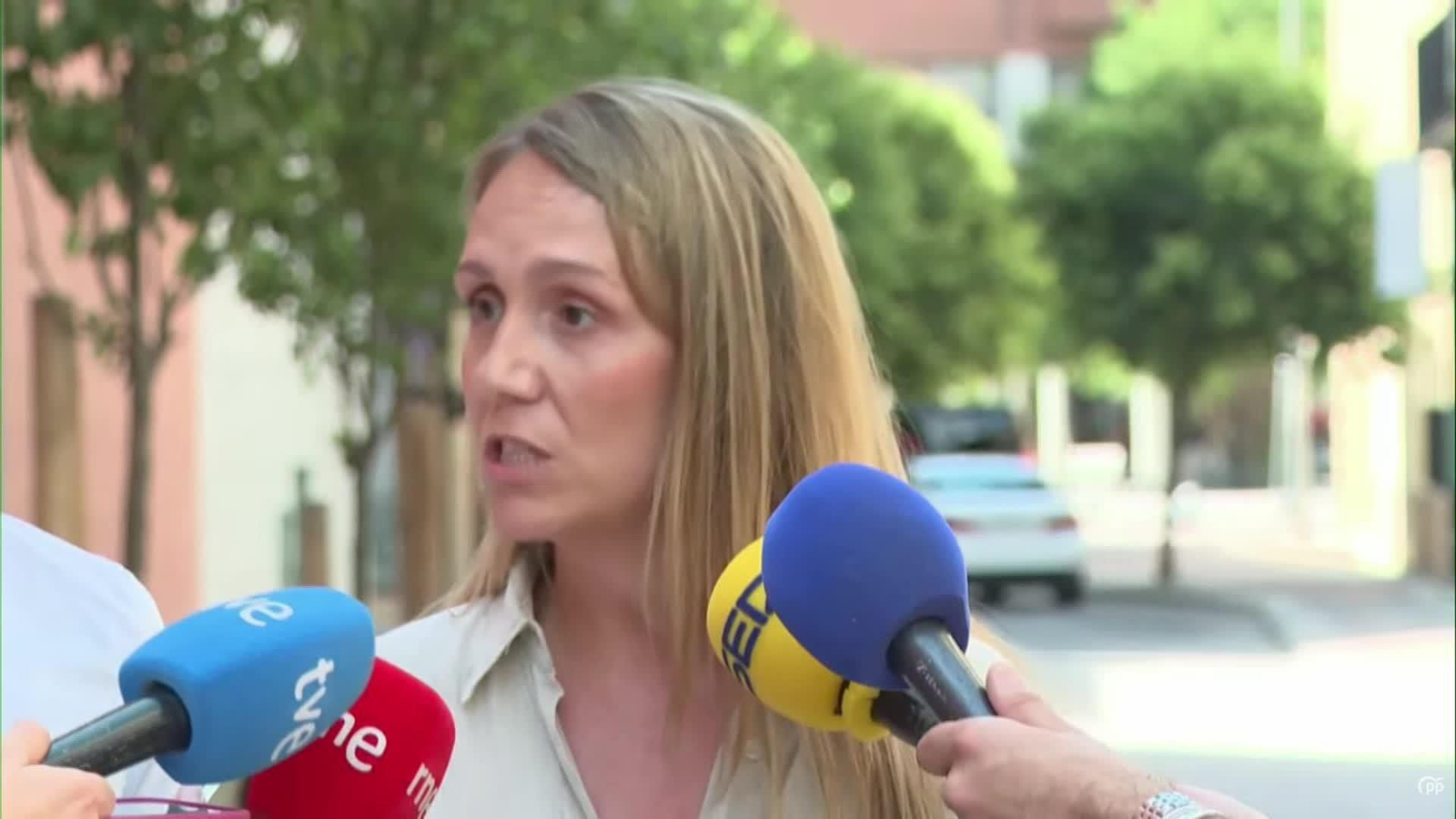 va alma pp