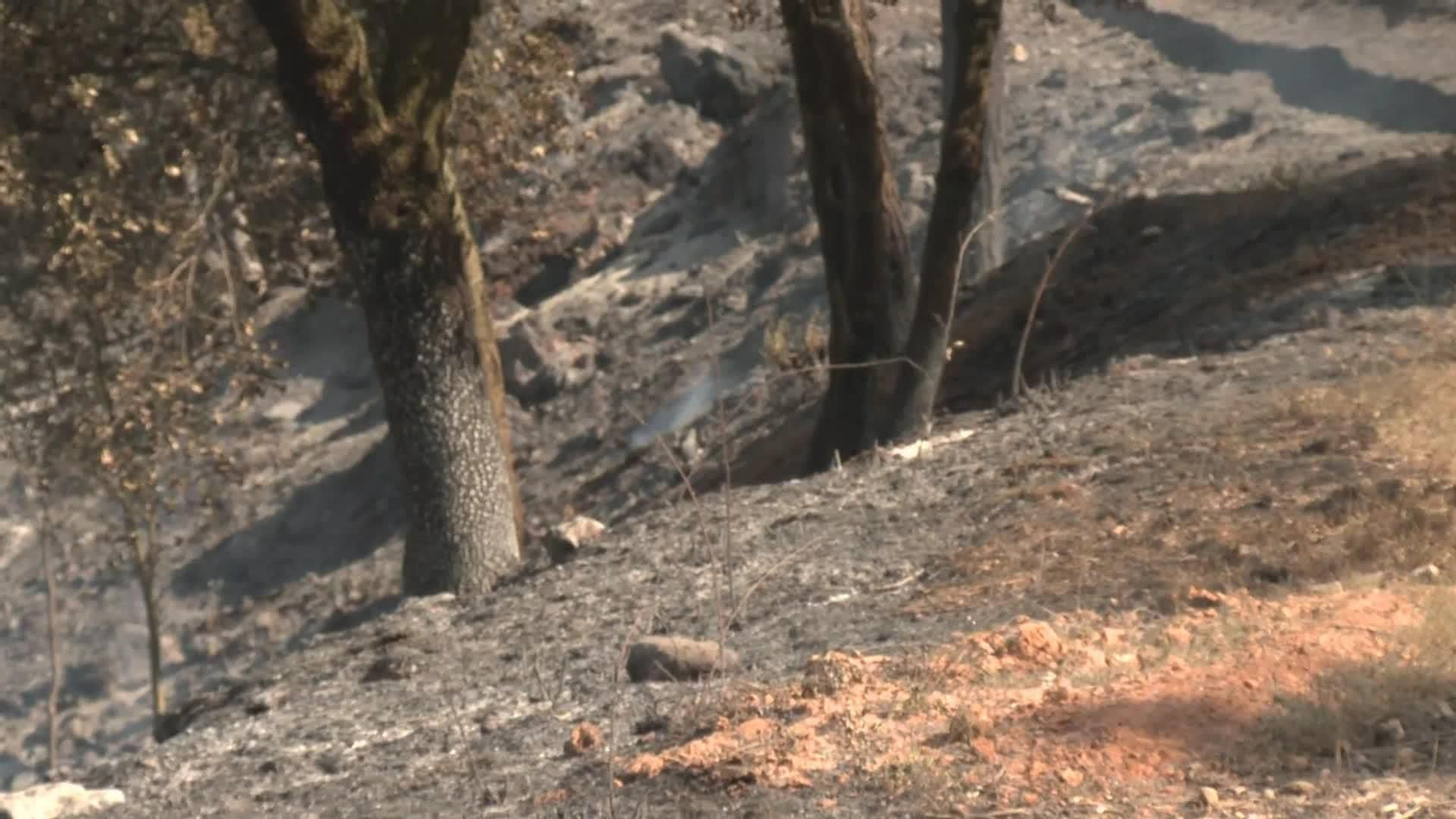 L080-TERUEL INCENDIO DE MATARRAÑA TARDE