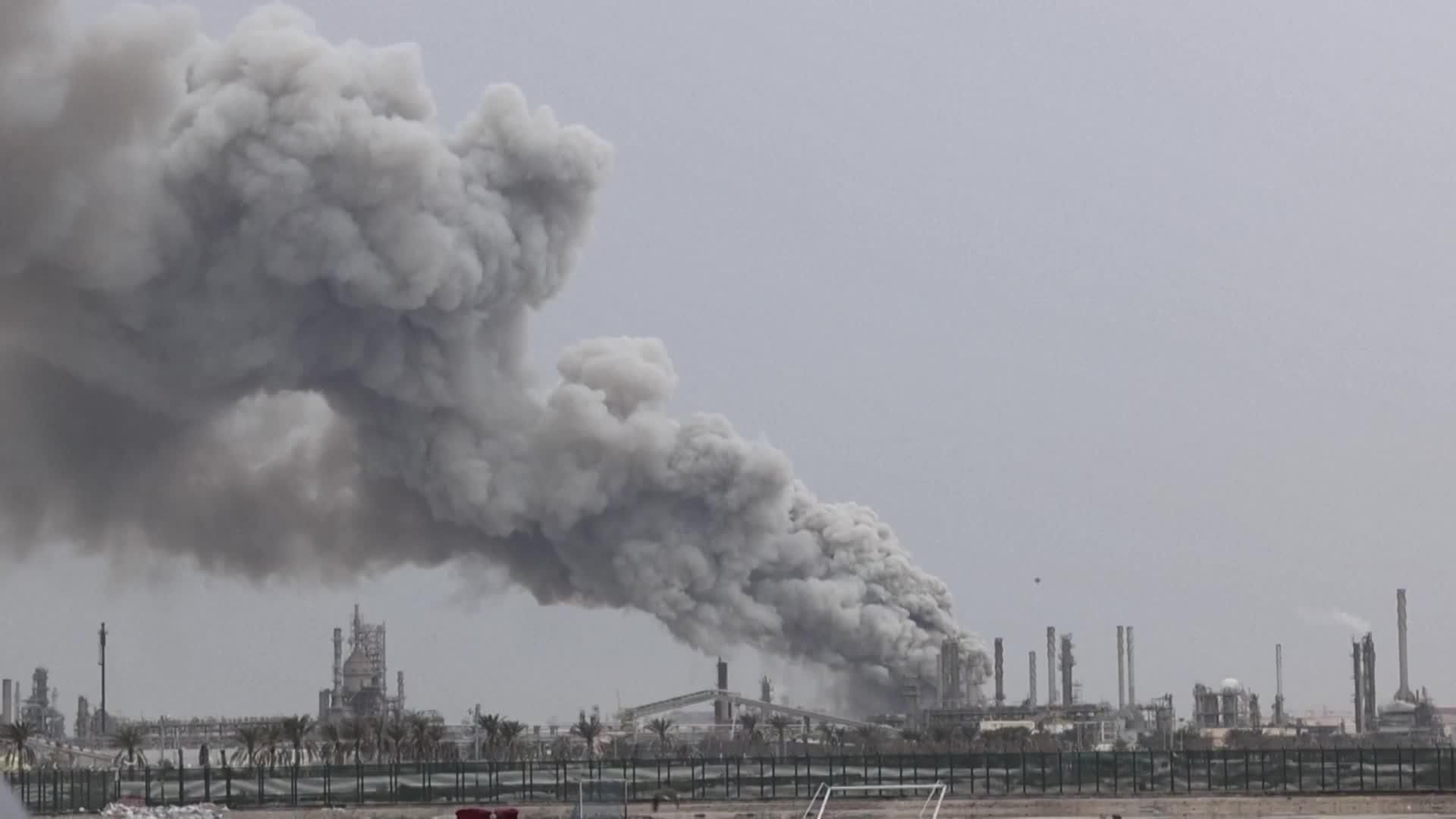 web trump aplaca mercados