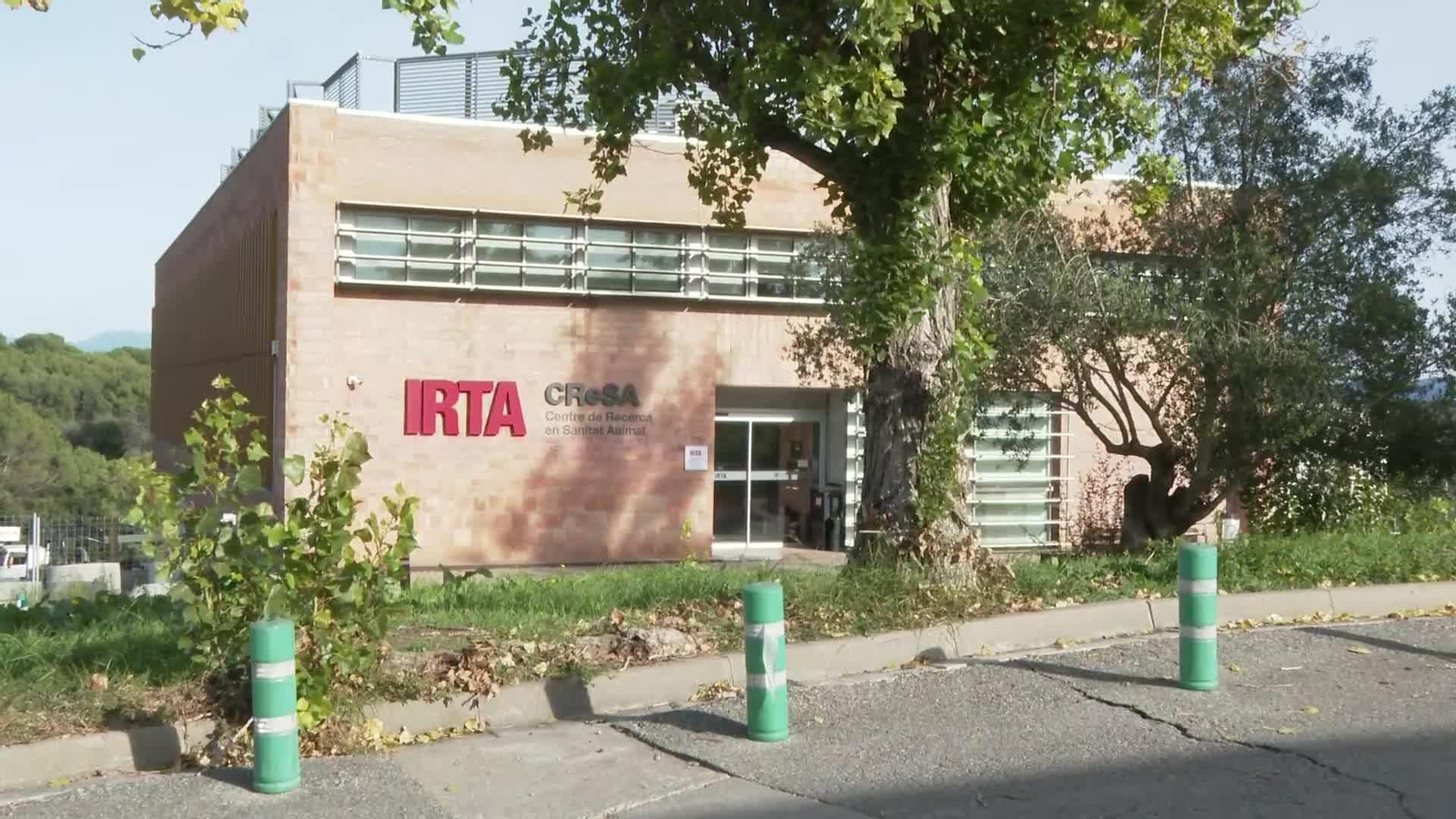 S051-BARCELONA LABORATORIO PESTE PORCINA COLLSEROLA