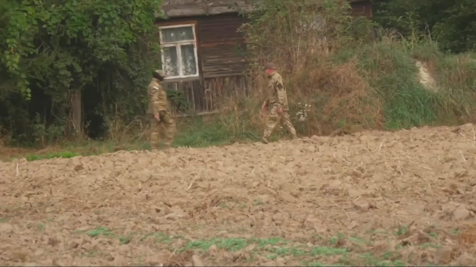 web polonia