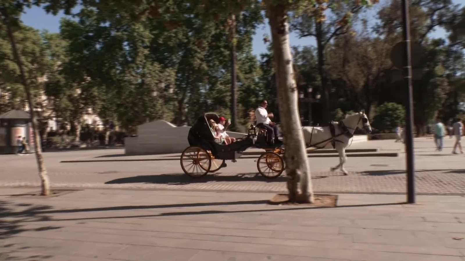 X085-SEVILLA CONCENTRACION CONTRA COCHES DE CABALLOS